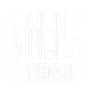 Technology  Selection and Specification